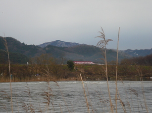 ueyama blog 20120317 003.jpg