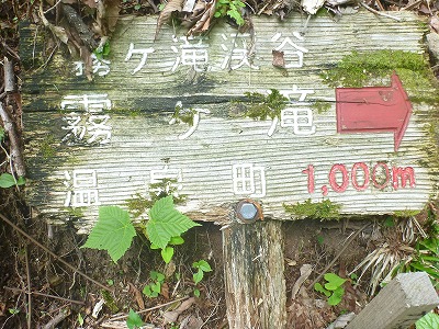 P1110090 (1).jpg
