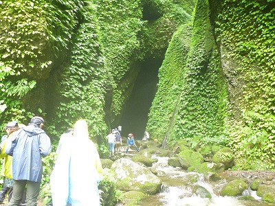 P1110684.jpg