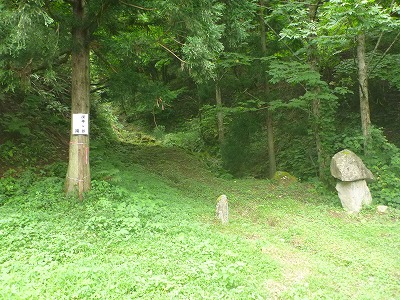 P1120482.jpg