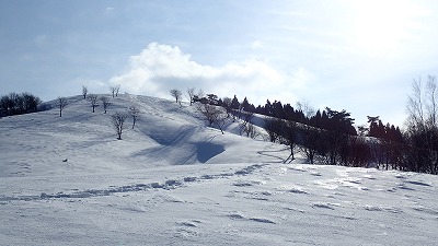 １２　冬はどこでも道です　迷わないように！.jpg