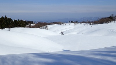 １３　雪原風景.jpg