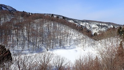 １４　ショウブ池　池が見えない.jpg