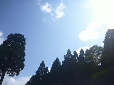 P1150150.JPG