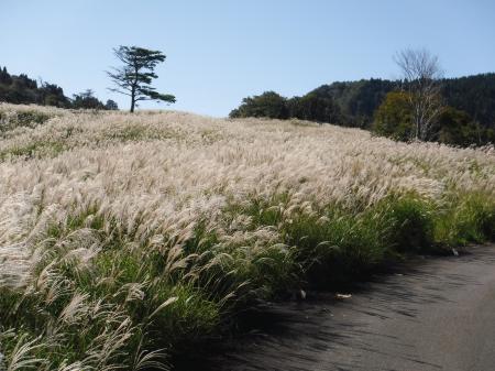 DSCF1253.JPG