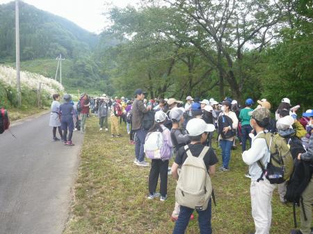 P1150556.JPG