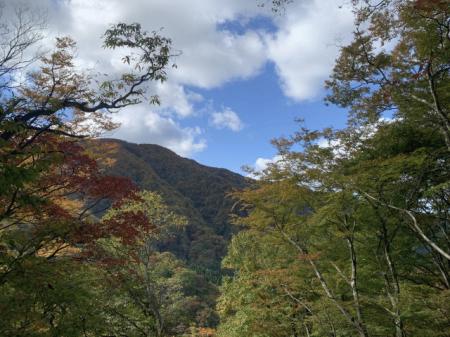 IMG_9379.JPG