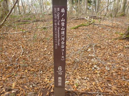 P1150666.JPG