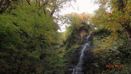 PA290037.JPG