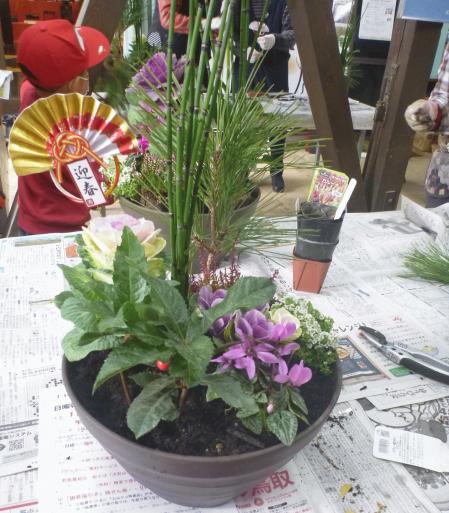 P1150816.JPG