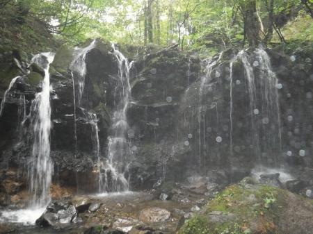 DSCF2593.jpg
