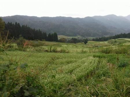 DSCF2775.jpg