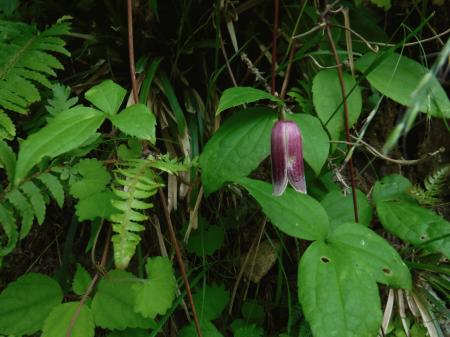 DSCF4015.JPG