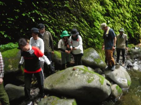 DSCF4428.JPG