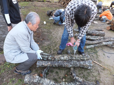 シイタケ植菌体験 044.jpg