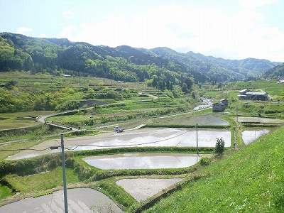 2020田植えP1100599.jpg