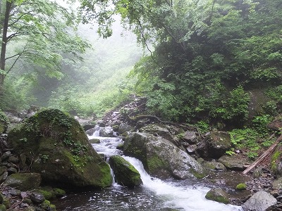 DSCF06965.jpg
