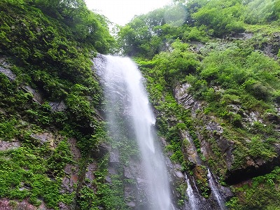 DSCF06986.jpg