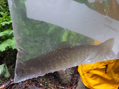 DSCF06994.jpg