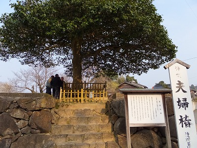 DSCF1097.jpg