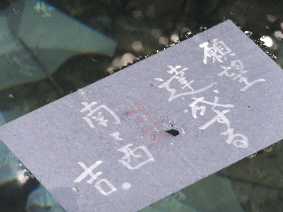 DSCF1100.jpg