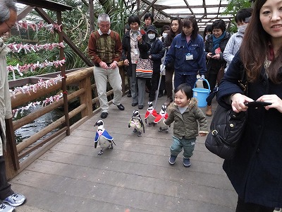 DSCF1198.jpg