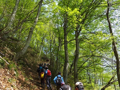 DSCF1474.jpg