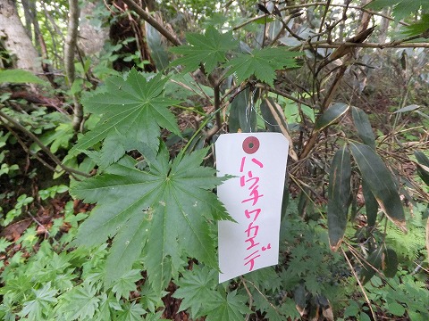 DSCF1758.jpg