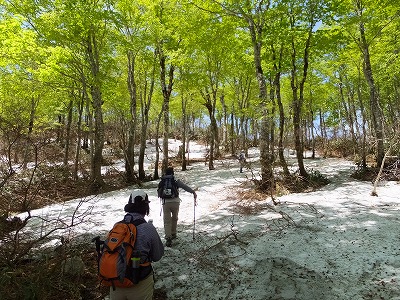 DSCF1912.jpg