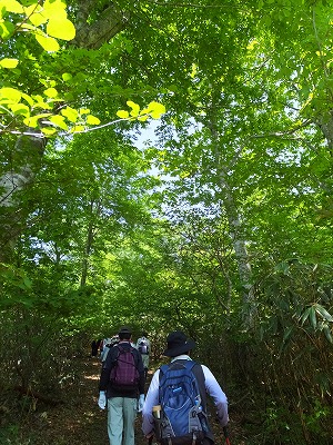 DSCF2045.jpg