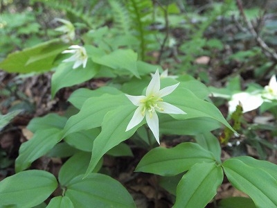 DSCF2052.jpg