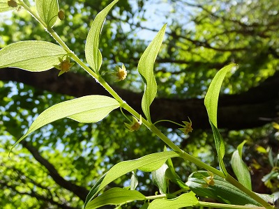 DSCF2060.jpg