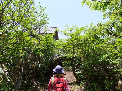 DSCF2062.jpg