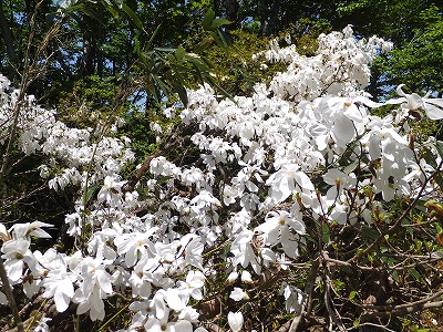DSCF2087.jpg