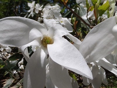DSCF2088.jpg