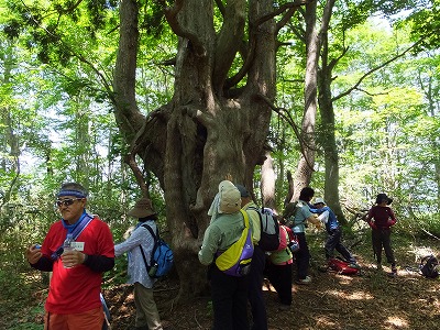 DSCF2095.jpg