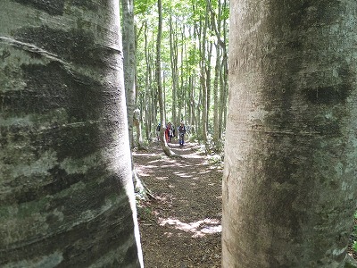 DSCF2099.jpg