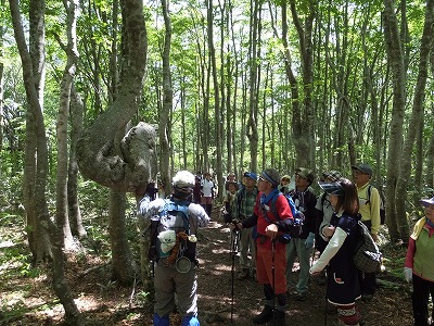 DSCF2101.jpg