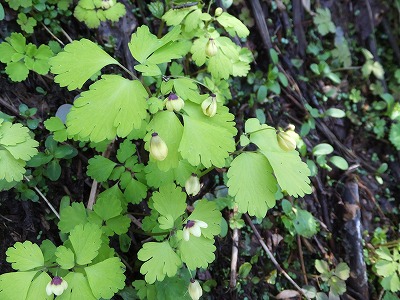 DSCF2119.jpg