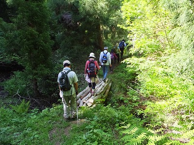 DSCF2141.jpg