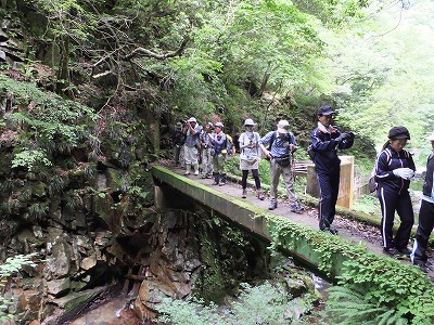 DSCF2363.jpg