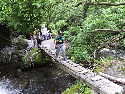 DSCF2381.jpg