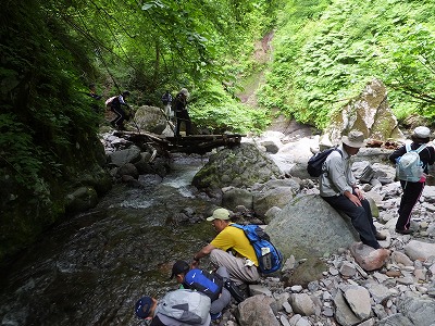DSCF2430.jpg