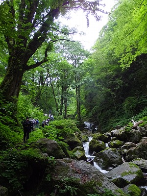 DSCF2442.jpg
