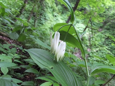 DSCF2459.jpg