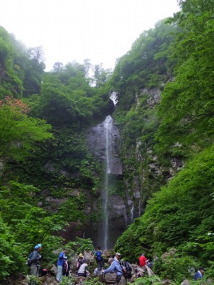 DSCF2478.jpg