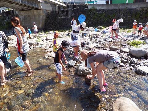 DSCF2493.jpg