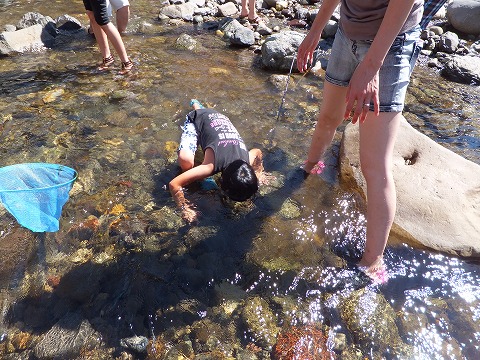 DSCF2494.jpg