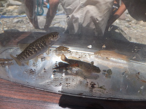 DSCF2507.jpg