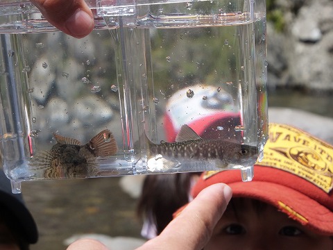 DSCF2512.jpg